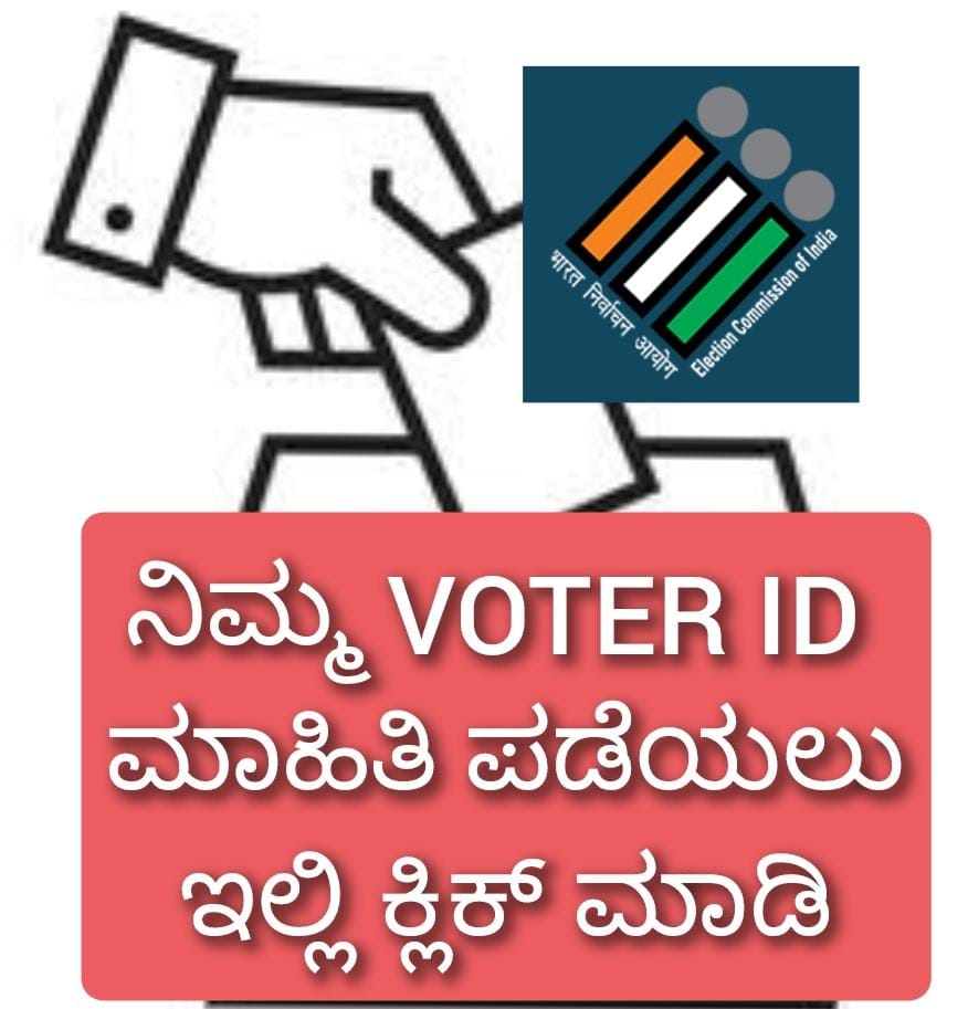 Voter id detail